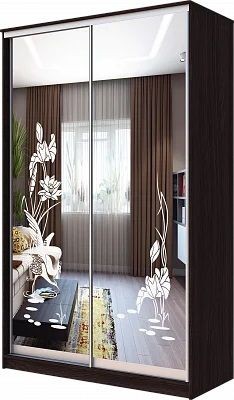 Шкаф-купе ХИТ 23-12-66 ЦАПЛИ в Елабуге - elabuga.mebel24.online | фото