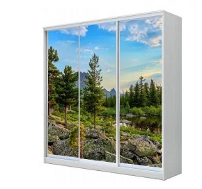 Шкаф-купе ХИТ 23-18-777 (620) в Елабуге - elabuga.mebel24.online | фото
