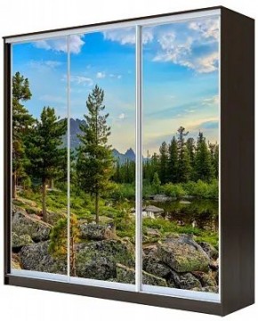 Шкаф-купе ХИТ 23-20/2-777 ПРИРОДА в Елабуге - elabuga.mebel24.online | фото