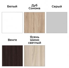 Шкаф-купе ХИТ 23-24/2-7777 (620) в Елабуге - elabuga.mebel24.online | фото 2