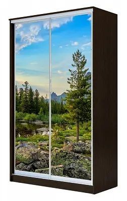 Шкаф-купе ХИТ 23-4-15-77 ПРИРОДА в Елабуге - elabuga.mebel24.online | фото