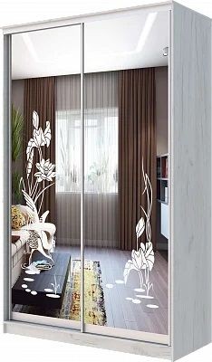 Шкаф-купе ХИТ 24-14-66 ЦАПЛИ в Елабуге - elabuga.mebel24.online | фото