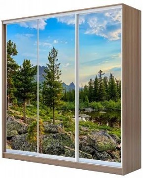 Шкаф-купе ХИТ 24-20/2-777 ПРИРОДА в Елабуге - elabuga.mebel24.online | фото