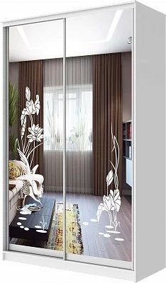Шкаф-купе ХИТ 24-4-15-66 ЦАПЛИ в Елабуге - elabuga.mebel24.online | фото