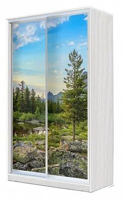 Шкаф-купе ХИТ 24-4-15-77 ПРИРОДА в Елабуге - elabuga.mebel24.online | фото
