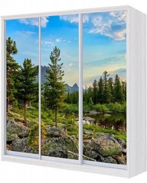 Шкаф-купе ХИТ 24-4-18/2-777 ПРИРОДА в Елабуге - elabuga.mebel24.online | фото