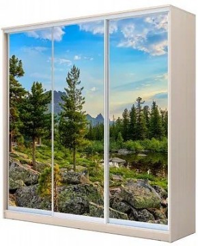 Шкаф-купе ХИТ 24-4-20-777 ПРИРОДА в Елабуге - elabuga.mebel24.online | фото