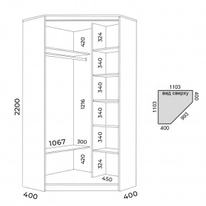 Шкаф-купе ХИТ-У-22-4-55 в Елабуге - elabuga.mebel24.online | фото 3