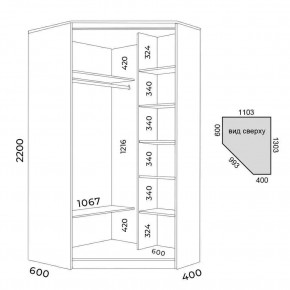 Шкаф-купе ХИТ-У-R-22-64-88 в Елабуге - elabuga.mebel24.online | фото 3