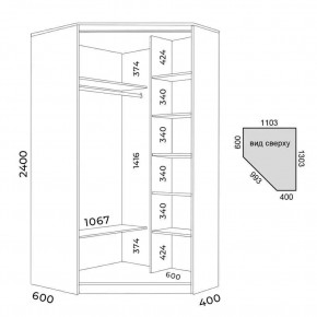 Шкаф-купе ХИТ-У-R-24-64-11 в Елабуге - elabuga.mebel24.online | фото 3