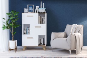 Шкаф низкий с нишами Вега Скандинавия в Елабуге - elabuga.mebel24.online | фото 4