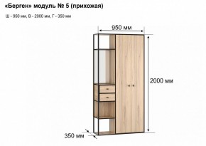 Шкаф платяной Берген-5 в Елабуге - elabuga.mebel24.online | фото 7