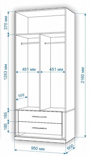 Шкаф платяной Нобиле Пл-95/60 в Елабуге - elabuga.mebel24.online | фото 3