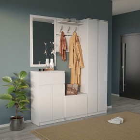 Шкаф платяной ШО-4 в Елабуге - elabuga.mebel24.online | фото 6