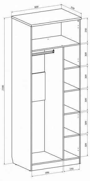 Шкаф платяной Виктория ВИ-11 в Елабуге - elabuga.mebel24.online | фото 3