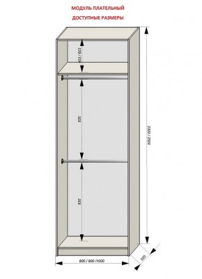 Шкаф распашной серия «ЗЕВС» (PL3/С1/PL2) в Елабуге - elabuga.mebel24.online | фото 12