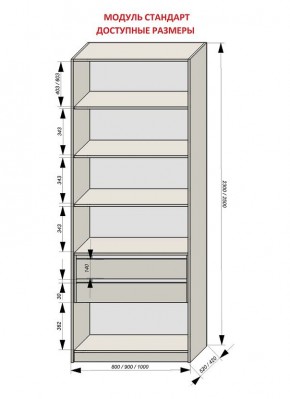 Шкаф распашной серия «ЗЕВС» (PL3/С1/PL2) в Елабуге - elabuga.mebel24.online | фото 13