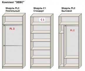 Шкаф распашной серия «ЗЕВС» (PL3/С1/PL2) в Елабуге - elabuga.mebel24.online | фото 2