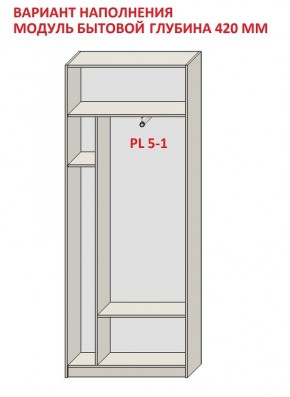 Шкаф распашной серия «ЗЕВС» (PL3/С1/PL2) в Елабуге - elabuga.mebel24.online | фото 4