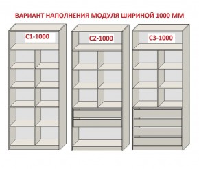 Шкаф распашной серия «ЗЕВС» (PL3/С1/PL2) в Елабуге - elabuga.mebel24.online | фото 7