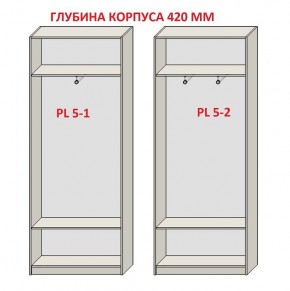 Шкаф распашной серия «ЗЕВС» (PL3/С1/PL2) в Елабуге - elabuga.mebel24.online | фото 8