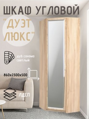 Шкаф угловой Дуэт Люкс с зеркалом в Елабуге - elabuga.mebel24.online | фото