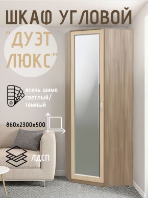 Шкаф угловой Дуэт Люкс с зеркалом в Елабуге - elabuga.mebel24.online | фото 3