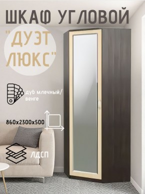 Шкаф угловой Дуэт Люкс с зеркалом в Елабуге - elabuga.mebel24.online | фото 5