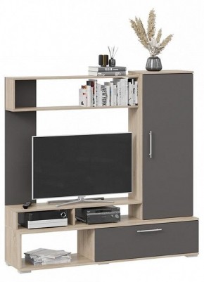 Стенка для гостиной Сиена в Елабуге - elabuga.mebel24.online | фото 2