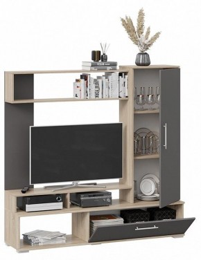 Стенка для гостиной Сиена в Елабуге - elabuga.mebel24.online | фото 3