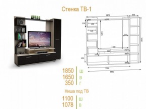 Стенка для гостиной ТВ-1 в Елабуге - elabuga.mebel24.online | фото 2