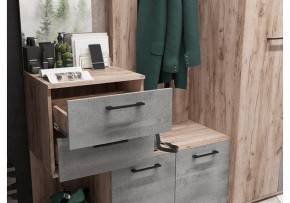 Стенка для прихожей Бостон в Елабуге - elabuga.mebel24.online | фото 4
