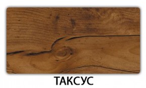 Стол-бабочка Паук пластик Таксус в Елабуге - elabuga.mebel24.online | фото 20