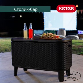 Стол Беви Бар (Bevy Bar Large Cool Bar), коричневый в Елабуге - elabuga.mebel24.online | фото 4