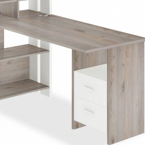 Стол компьютерный Домино Лайт СТЛ-ОВХ+С120Прям в Елабуге - elabuga.mebel24.online | фото 2