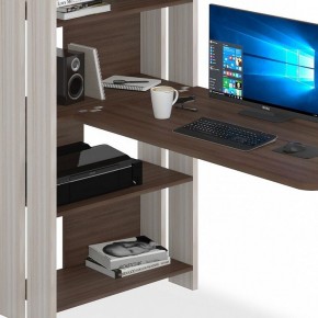 Стол компьютерный Домино Lite СТЛ-ОВ+С120Р в Елабуге - elabuga.mebel24.online | фото 4