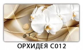 Стол раздвижной Трилогия с фотопечатью Цветы R044 в Елабуге - elabuga.mebel24.online | фото 13