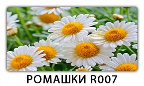 Стол раздвижной Трилогия с фотопечатью Цветы R044 в Елабуге - elabuga.mebel24.online | фото 15