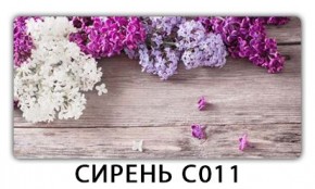 Стол раздвижной Трилогия с фотопечатью Цветы R044 в Елабуге - elabuga.mebel24.online | фото 16