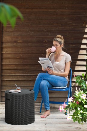 Столик-холодильник Кул-Стул (Cool stool) графит в Елабуге - elabuga.mebel24.online | фото 1