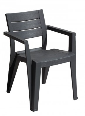 Стул Джули (Julie dining chair) графит в Елабуге - elabuga.mebel24.online | фото 1