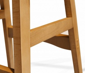 Стул обеденный SHT-ST29/S65-1 в Елабуге - elabuga.mebel24.online | фото 5