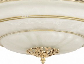 Светильник на штанге Arti Lampadari Pavia Pavia E 1.13.P40 G в Елабуге - elabuga.mebel24.online | фото 3