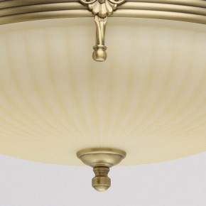 Светильник на штанге MW-Light Афродита 1 317011504 в Елабуге - elabuga.mebel24.online | фото 4