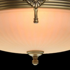 Светильник на штанге MW-Light Афродита 1 317011504 в Елабуге - elabuga.mebel24.online | фото 5