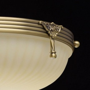 Светильник на штанге MW-Light Афродита 1 317011504 в Елабуге - elabuga.mebel24.online | фото 8
