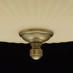 Светильник на штанге MW-Light Афродита 1 317011504 в Елабуге - elabuga.mebel24.online | фото 9