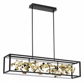 Светильник на штанге Odeon Light Bild 5065/65L в Елабуге - elabuga.mebel24.online | фото