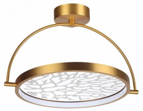 Светильник на штанге Odeon Light Solaris 6627/36CL в Елабуге - elabuga.mebel24.online | фото