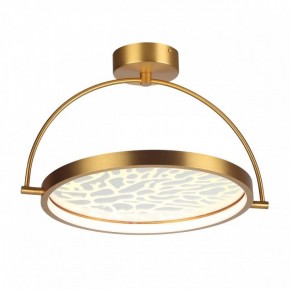 Светильник на штанге Odeon Light Solaris 6627/36CL в Елабуге - elabuga.mebel24.online | фото 3